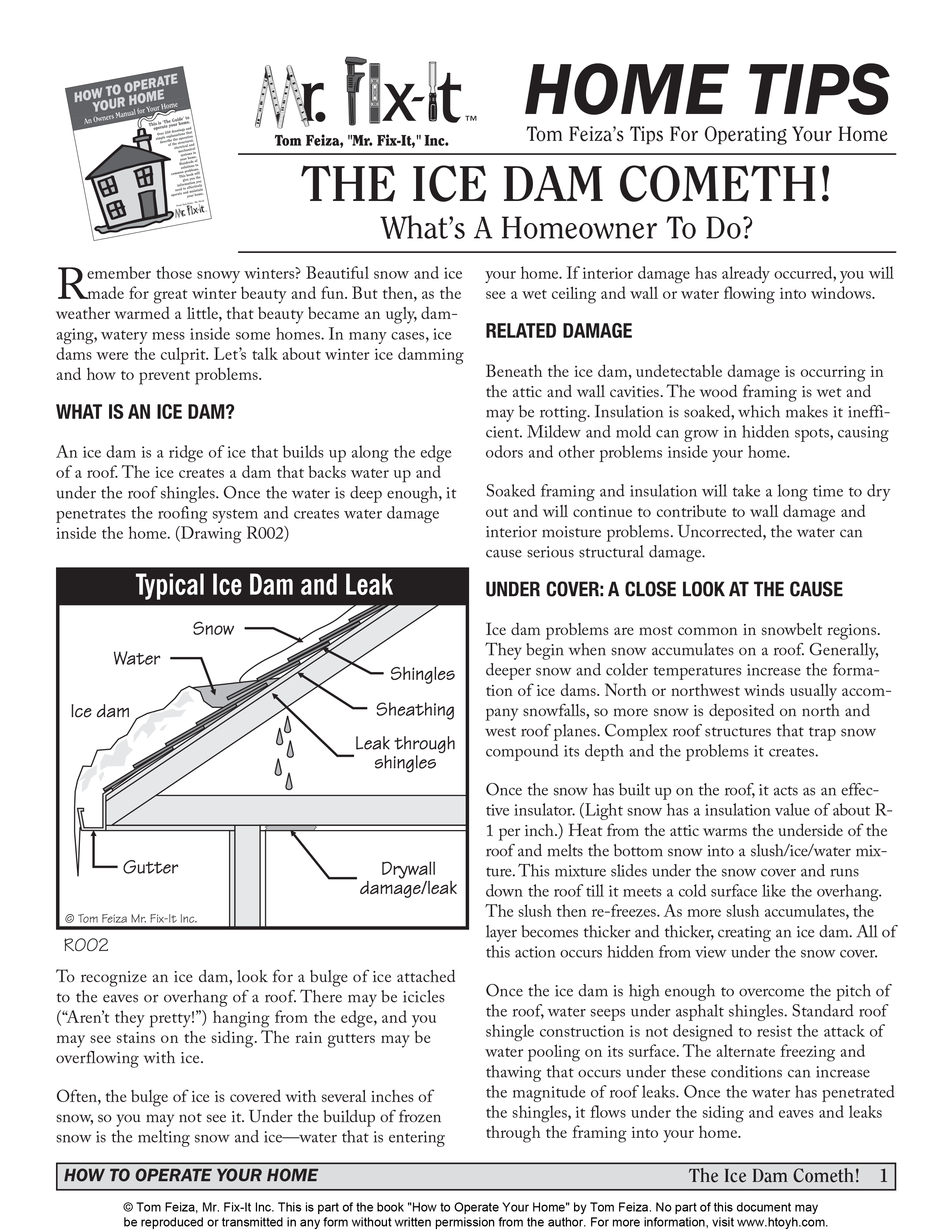 The Ice Dam Cometh PDF